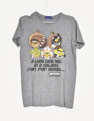 Angry Birds Star Wars design print grey t-shirt - 170/176