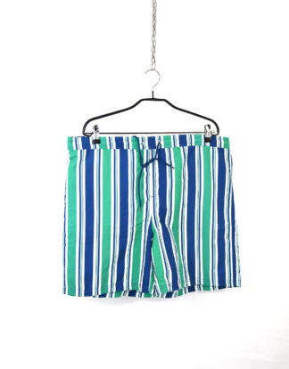 Vintage vertical green and blue lines printed shorts